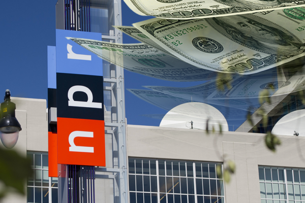 Former NPR editor says broadcaster should refuse federal funds amid DOGE hearing